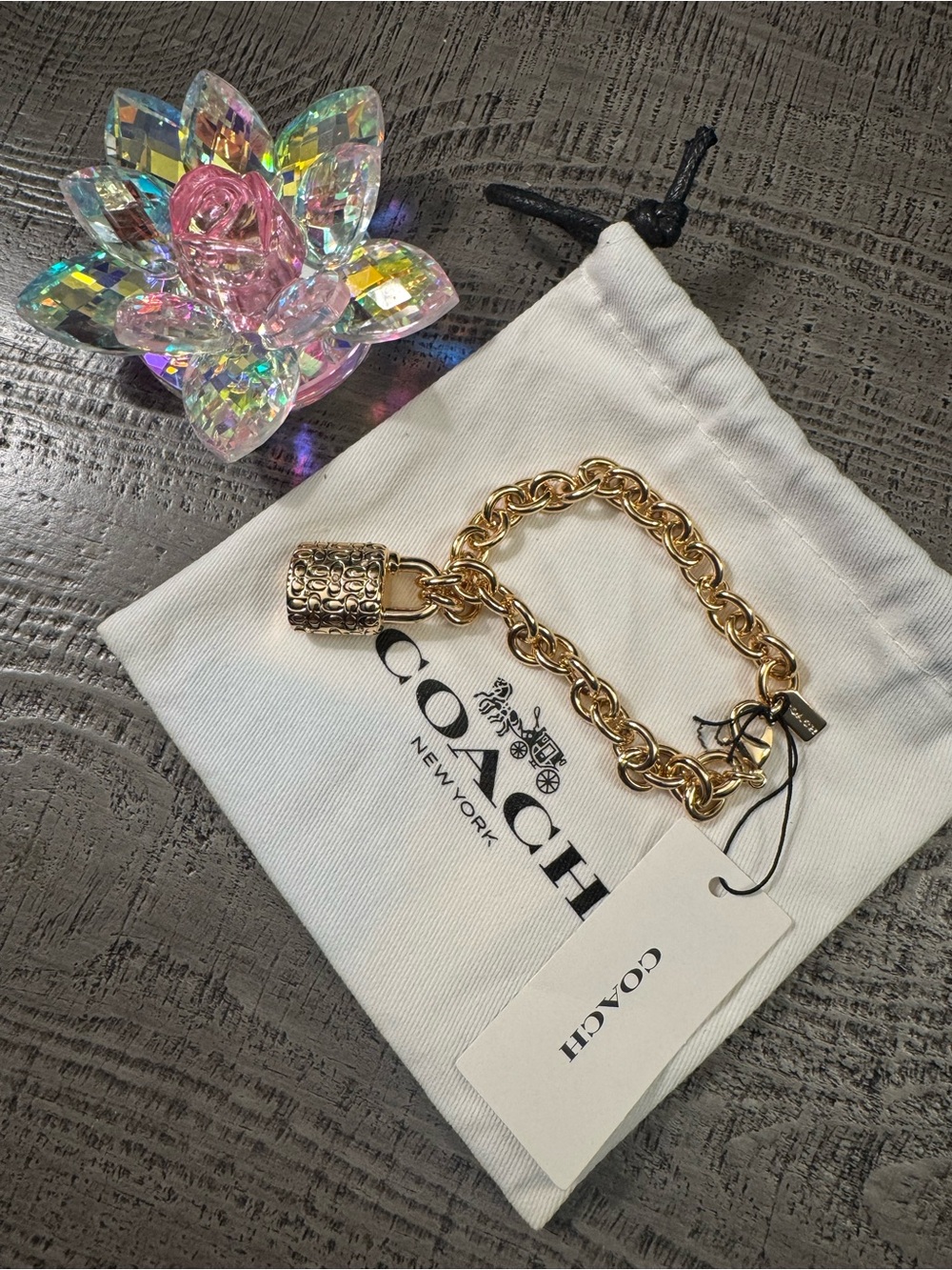 NWT COACH Gold-Tone Padlock Charm Chain Bracelet - Unique